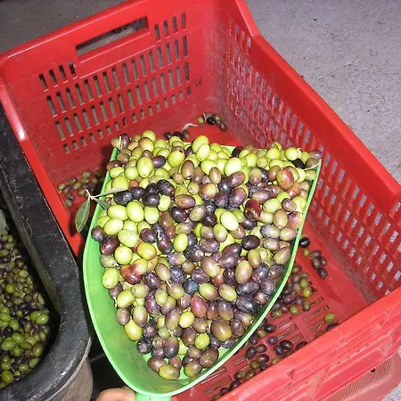 Gospodarstwo agroturystyczne La Scala Salò