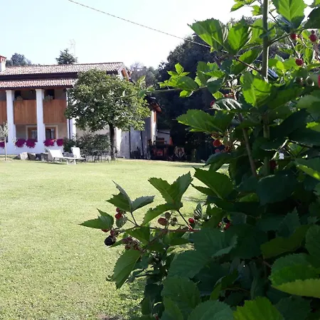 La Scala Salò